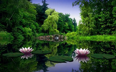 pond images hd|pond background.